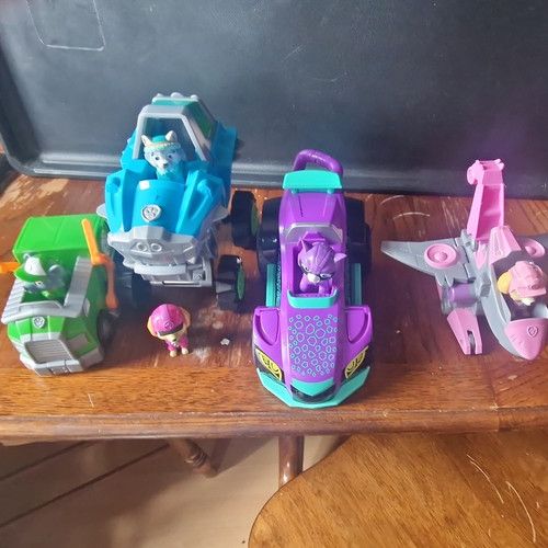 PAW Patrol Mixed Lot Figures & Vehicles - Rocky, Everest, Skye Plastic