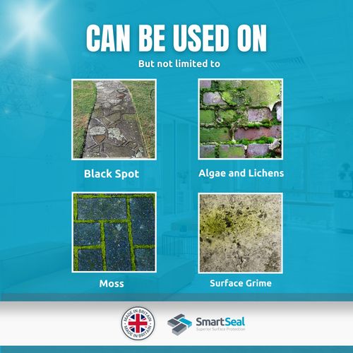 Sandstone Patio Powerful Cleaner Black Spot Cleans Algae and Dirt Easily 5L — image 8