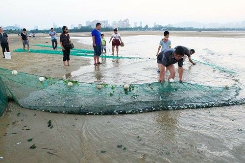 Hand Made Beach Seine/ Drag Nets Various Sizes