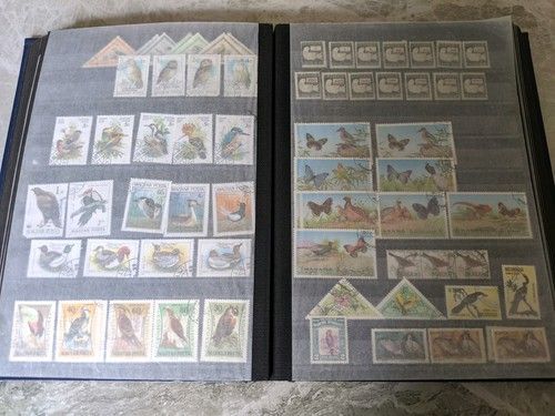 Birds of the World Stamps .over  1250 stamps , lee than 15p each