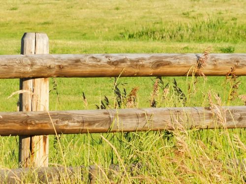 Half Round Fence Rail 3.6m 100mm 4" Green Treated Garden Mesh Fencing Wooden — image 4