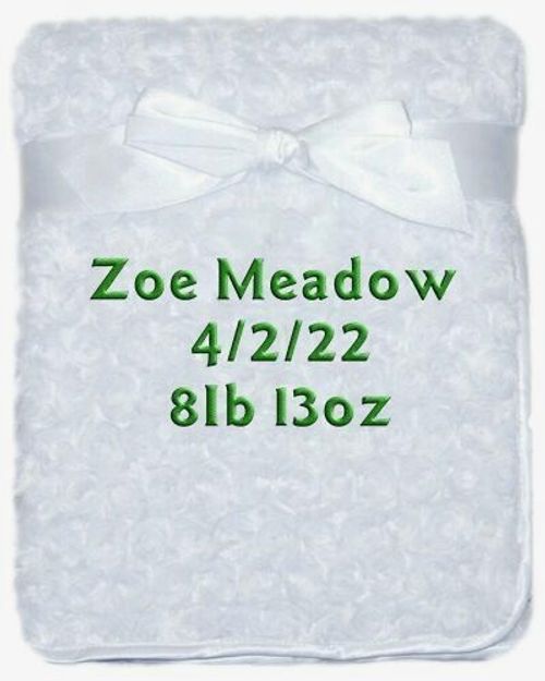 Personalised Baby Blanket Embroidered Soft Luxury Fluffy Newborn Babies Gift — image 5