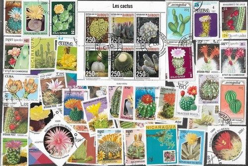 CACTI ON STAMPS 50 ALL DIFFERENT COLLECTION NATURE  17/9/26