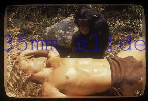 #5941,WOLF LARSON,BARECHESTED,SHIRTLESS,tarzan,OR 35mm TRANSPARENCY/SLIDE