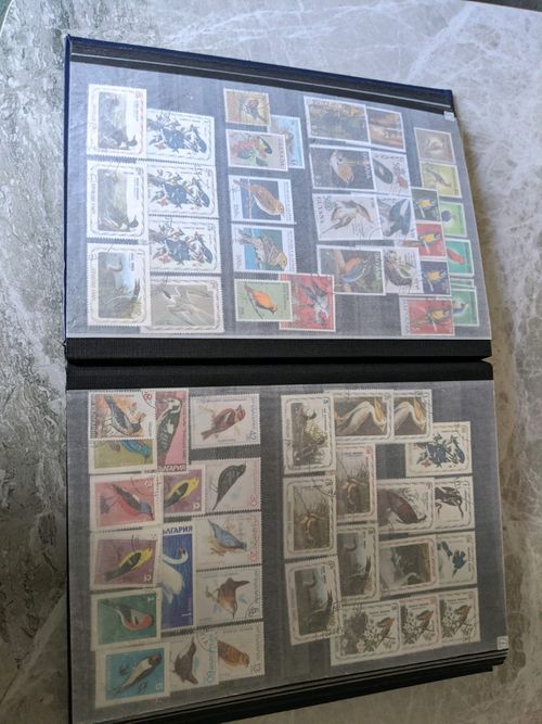 Birds of the World Stamps .over  1250 stamps , lee than 15p each — image 18
