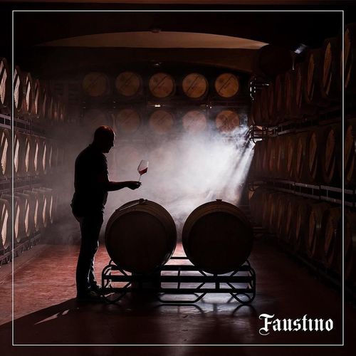 Faustino I Rioja Tinto Gran Reserva Duo x 75cl — image 7