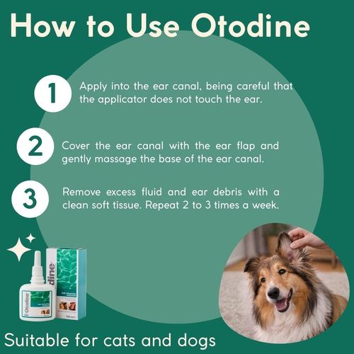 Otodine Ear Cleaner Solution for Cats & Dogs 100ml — image 5