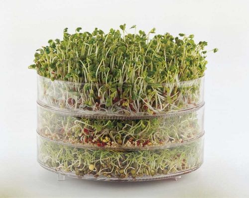 BioSnacky Large Germinator | 3 Tier — image 4