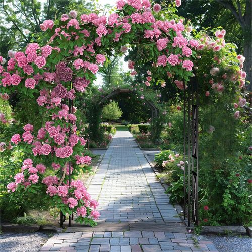 Rust-proof Double Column Garden Arch Trellis Climbing Plants Frame Wedding Stand — image 5