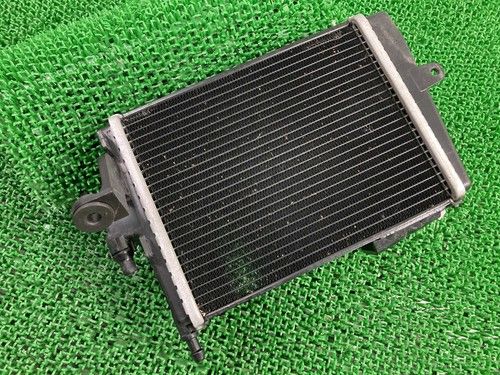 R1300GS Radiator Left 1171 1542091-06 BMW Genuine Motorcycle Part KA1 Radiat...