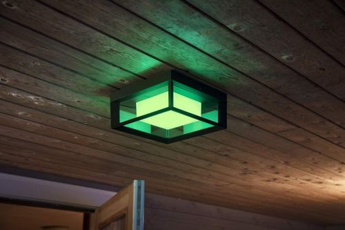 Philips Hue Econic Outdoor Smart Wall Ceiling Light White Colour Ambiance Black — image 5