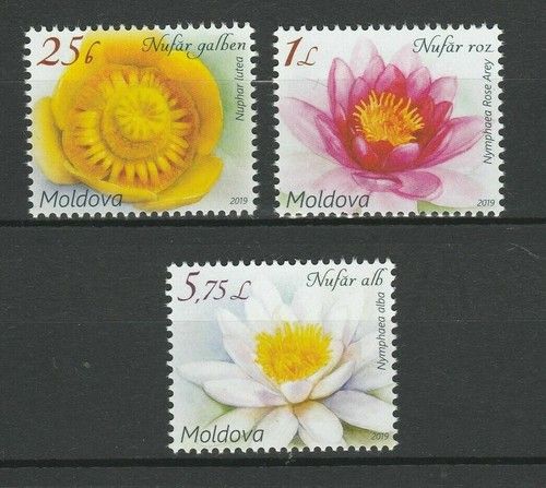 Moldova 2019 Flowers Waterlilies 3 MNH stamps