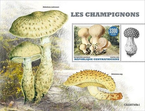 MUSHROOMS & FUNGI MNH 1v-Stamp Sheet #170 (2022 Central Africa)