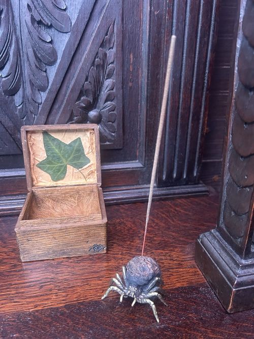 Witch,spell,fur,taxidermy,gothic,horror, vampire,fox,head,bones,oddity,vampire, — image 17