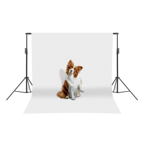 3x3m Backdrop Stand, Photo Studio Adjustable Background Stand, Backdrop Stand — image 10