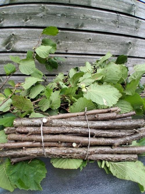 500g Fresh cut Hazelnut Sticks ,Natural Chew Treat for Rabbits,guinea pigs etc