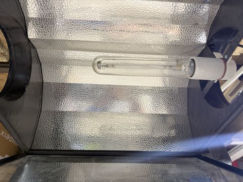 2 x 8”  Air Cooled Reflectors Grow Light Shizzle — image 6