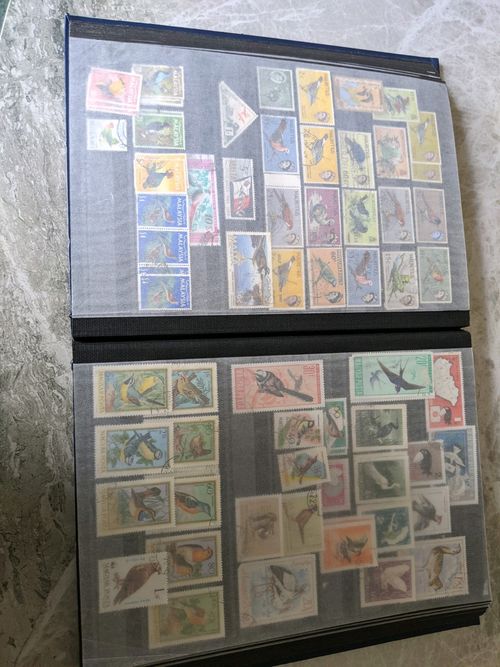 Birds of the World Stamps .over  1250 stamps , lee than 15p each — image 23