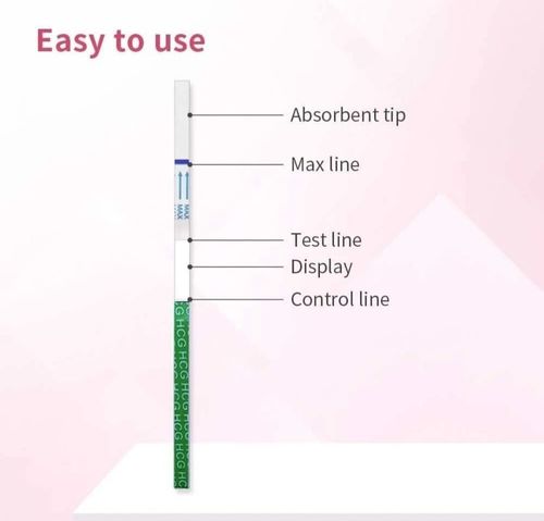 30X Ultra Sensitive Pregnancy Test Strips Early Detection 10mIU  Fast&Discreet — image 4