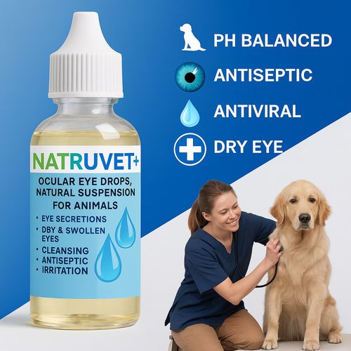 Dogs Eye Drops LARGE 2 x 30 ML ADVANCED — image 3
