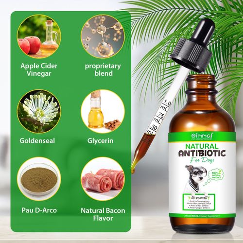 Dog Anti Biotic Drops 100% Natural for Immune System Support & Anti-Inflammatory — image 10