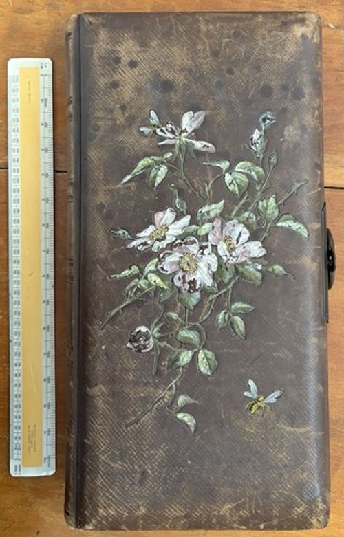 Victorian Leather Bound Embossed And Painted Album, Die Cut Pages. Many CDV’s