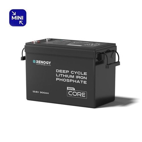 Renogy 100/200/300Ah 12V LiFePO4 Lithium Leisure Battery or Battery Monitor