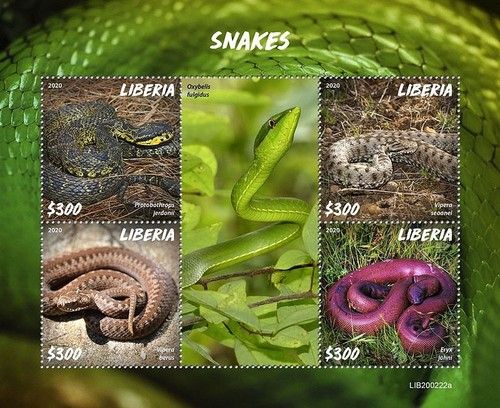 SNAKES Reptiles/Animals/Wildlife/Snake MNH 4v-Stamp Sheet #85 (2020 Liberia)