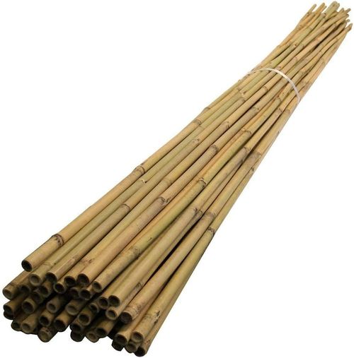Professional Heavy Duty Bamboo Canes Strong Garden Canes Plant Support 2FT-6FT ! — image 6