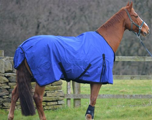 SALE! CLEARANCE Rain Sheet Lightweight 0g Fill Horse Pony Waterproof Turnout Rug — image 4