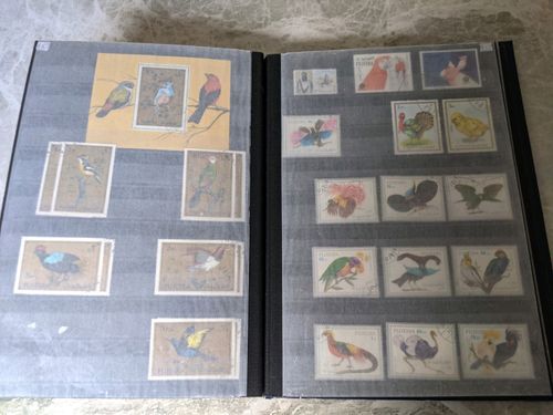 Birds of the World Stamps .over  1250 stamps , lee than 15p each — image 10