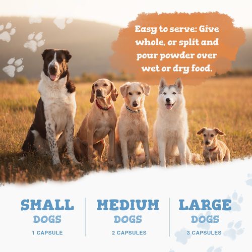 Multivitamins for Dogs - 16 Nutrients - Hip, Joint, Skin, Coat & Immune Support — image 8