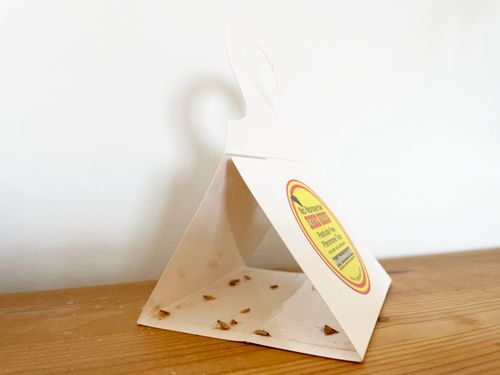 Clothes and Carpet Moth Pheromone  Traps 8 Pack — image 5