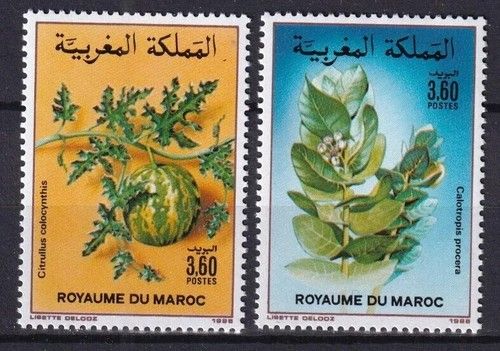 Morocco 1988 Fruits, Plants 2 MNH stamps