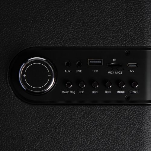 Neon Premium Bluetooth Karaoke Machine Speaker, Wireless Microphones REFURB — image 4