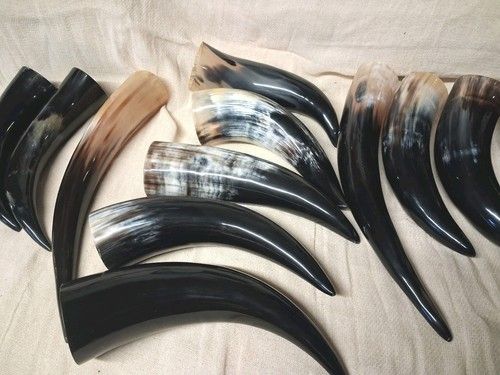 500 ml Medieval Viking Drinking Cow Horn Reenactment Larp Medieval Valhalla 