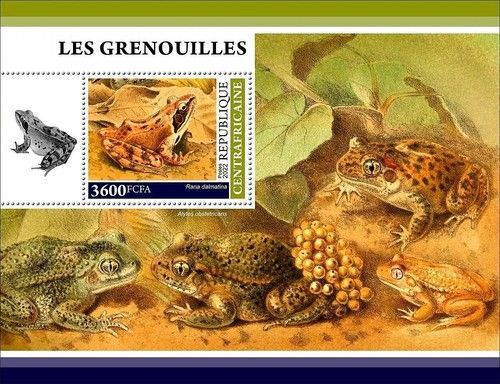 FROGS & Amphibians Animals MNH 1v-Stamp Sheet #8 (2022 Central Africa)