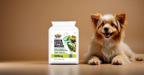 Green Lipped Mussel For Dogs Cartilage Joint Care Arthritis 500MG 90 Capsules UK — image 4
