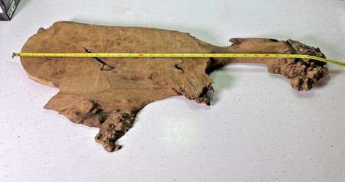 Live Edge Wood Slab with Burr Bark Edge & Natural Voids 30"