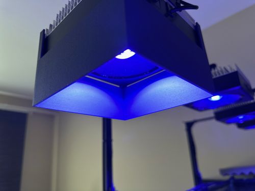 PopBloom RL90 Shade — image 2
