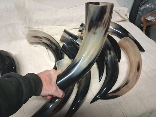 1000 ml Medieval Viking Drinking Cow Horn Reenactment Larp Medieval Valhalla  — image 2