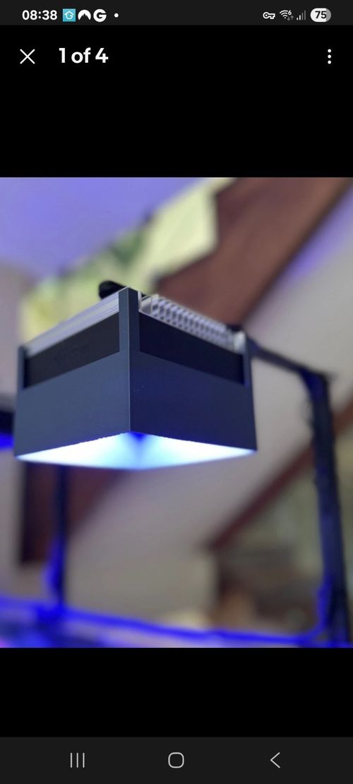 PopBloom RL90 Shade — image 1