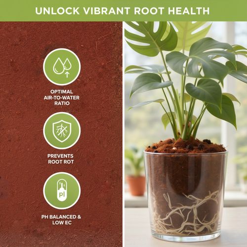 80L Coco Coir Compost Blocks | Peat-Free Natural |Growing Media| — image 8