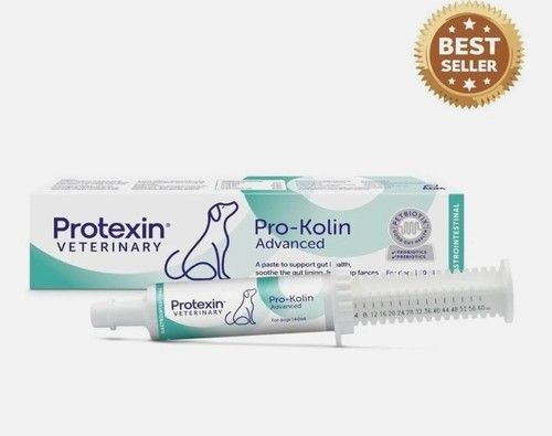 Protexin Veterinary Pro-Kolin Advanced Paste for Dogs, 60ml