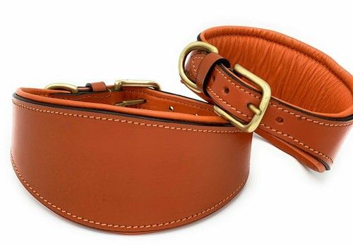 WHIPPET LEATHER DOG COLLAR SOFT LUXURY PADDED AND LINED GREYHOUND LURCHER STRONG