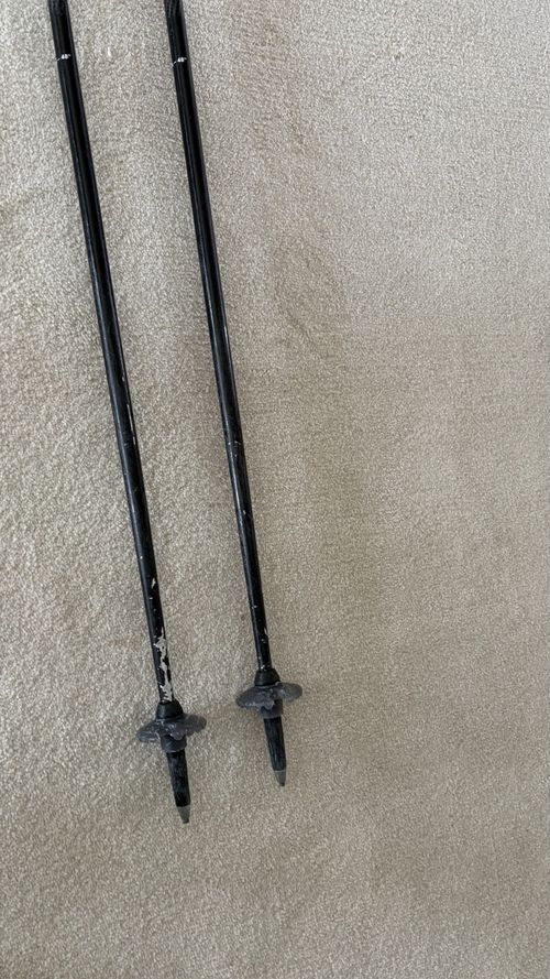 Leki Titanium Ski Poles - 120cm — image 4