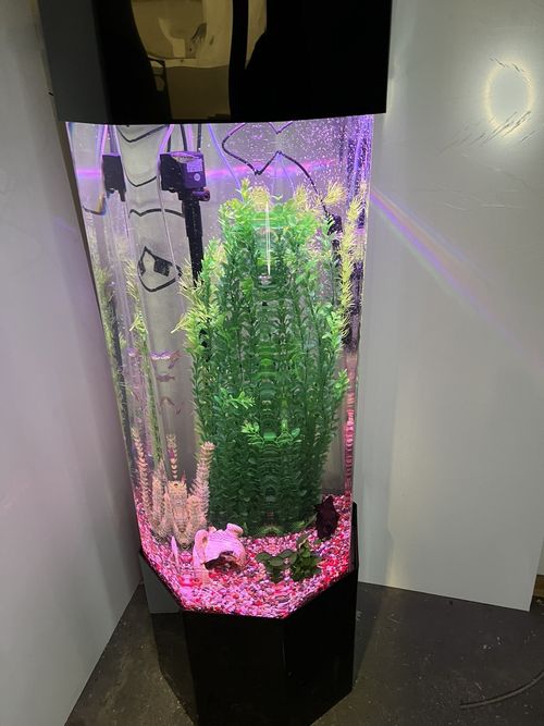 column aquarium tower fish tank — image 7