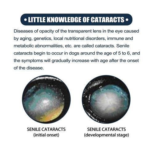 Pet Eye Drops Cataract Drops For Pet Eye Lubricant Drop Lanosterol Solution 10ml — image 6