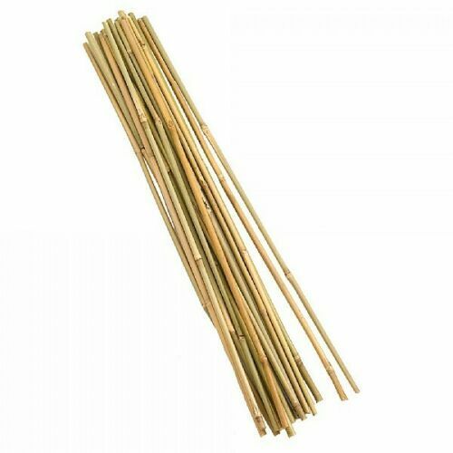 Professional Heavy Duty Bamboo Canes Strong Garden Canes Plant Support 2FT-6FT ! — image 4