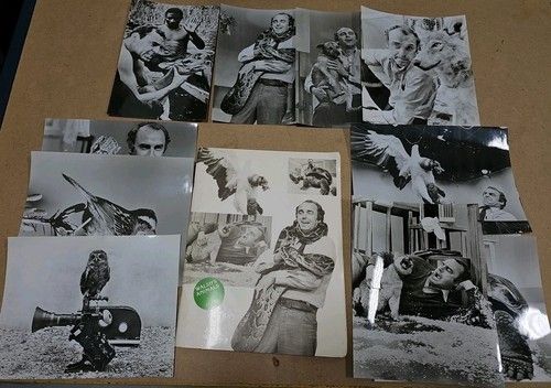 Rare Original 1973 WGBH PBS Walsh's Animals Press Kit w/ 12 Photos! John Walsh